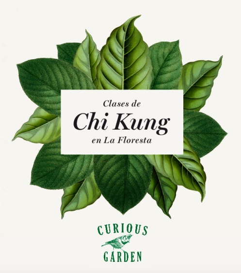 ChiKung_curious